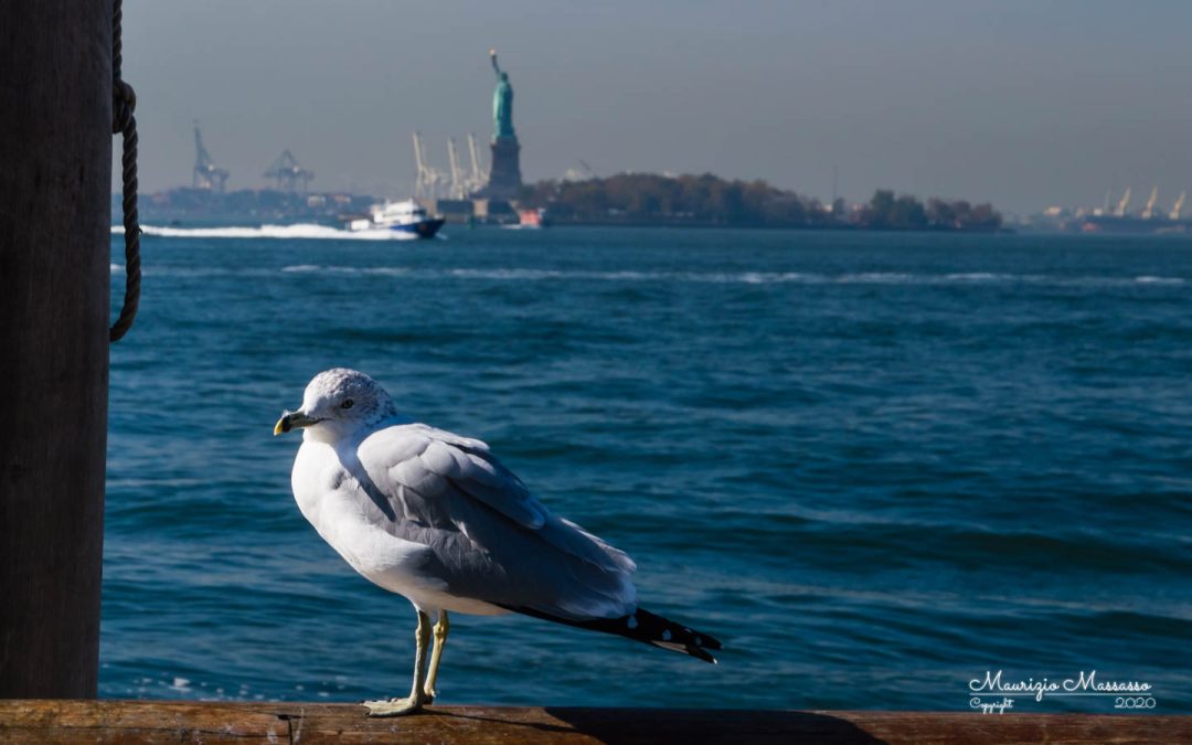 Statua della Libertà